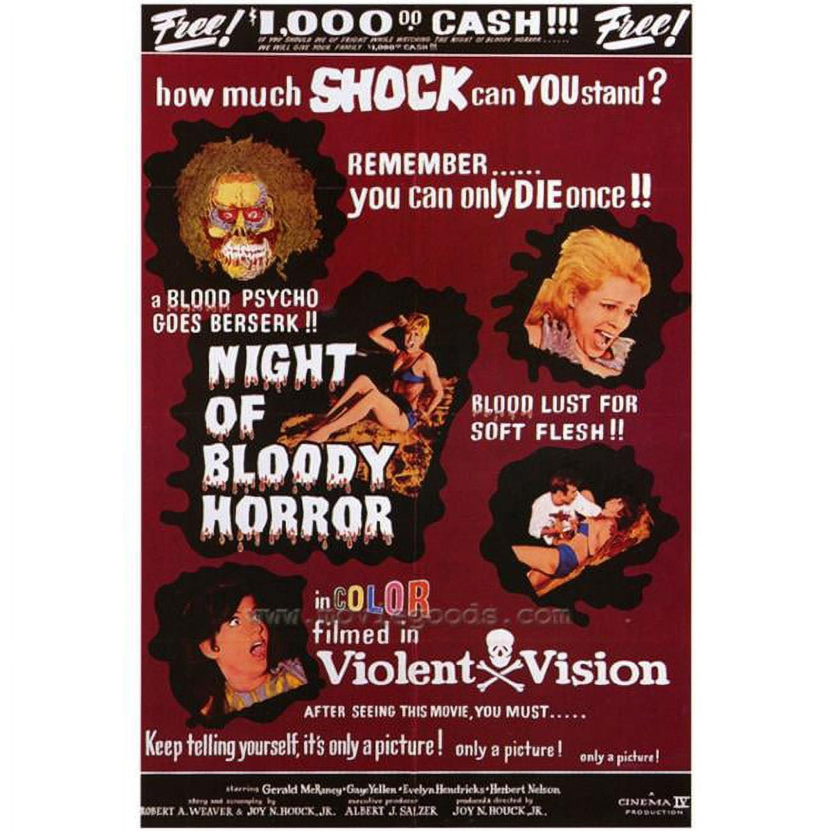 The Night of Bloody Horror Movie Poster Print - 27x40 inches