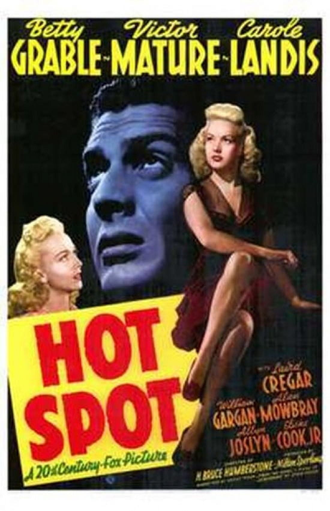 Hot Spot Movie Poster - 11x17 Print for home décor
