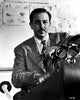 Walt Disney nostalgic photo print showcasing iconic imagery.