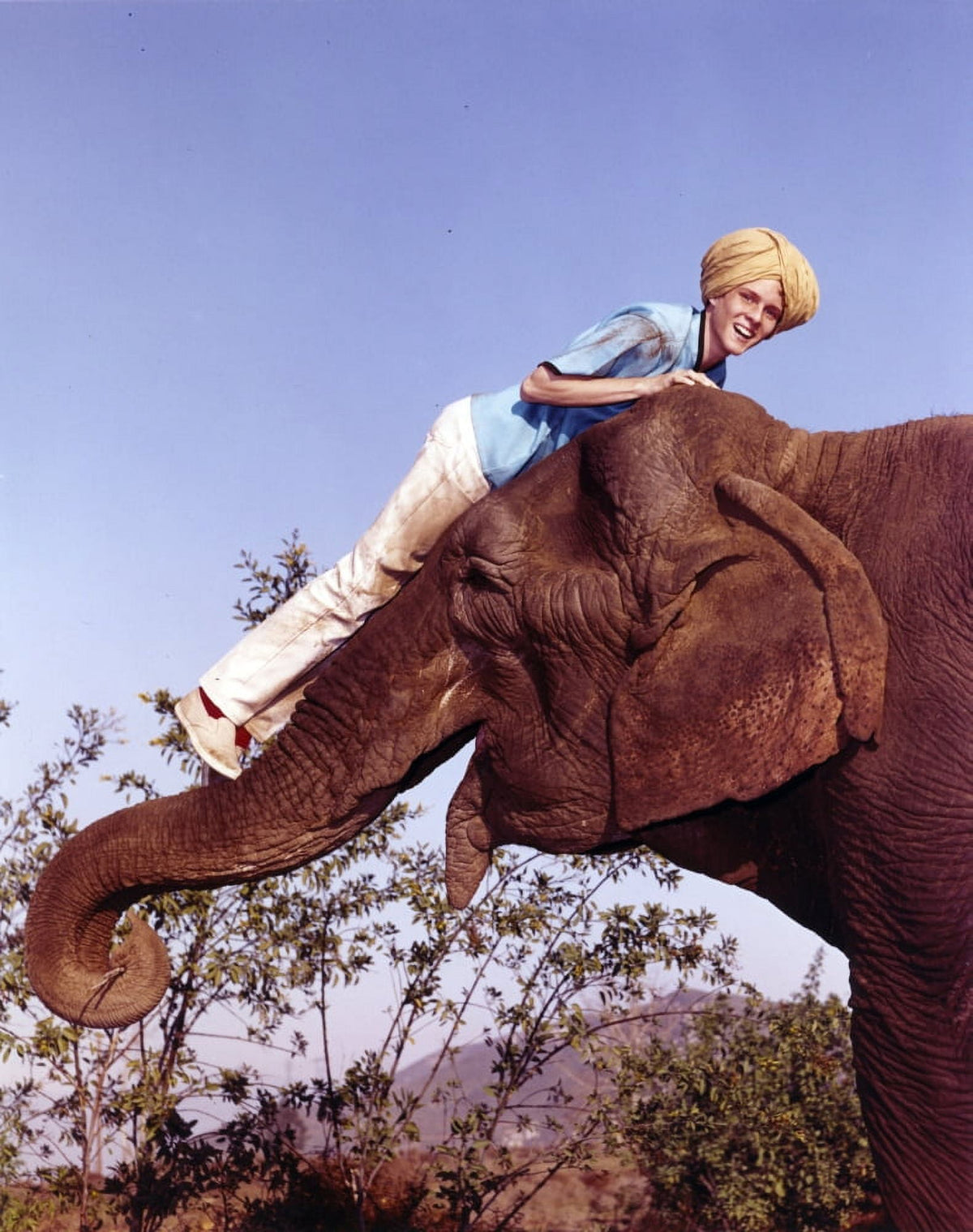 Jay North riding an elephant photo print in blue shirt and white pants.