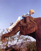 Jay North riding an elephant photo print in blue shirt and white pants.