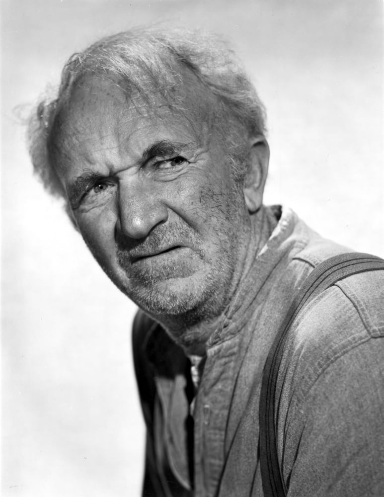Brennan Walter posed in denim shirt photo print, available in multiple sizes.