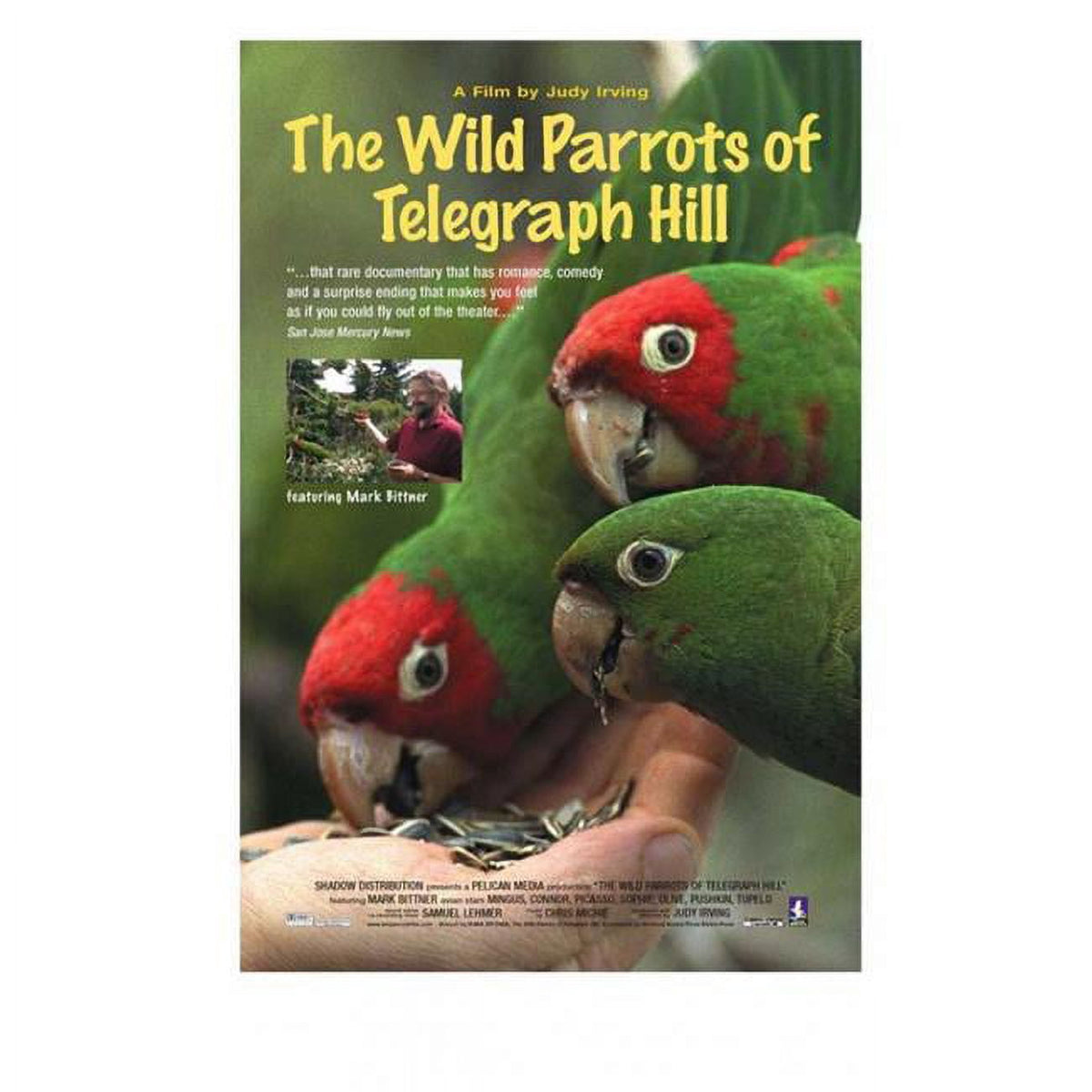The Wild Parrots of Telegraph Hill movie poster print showcasing vibrant colors and nature.