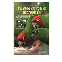 The Wild Parrots of Telegraph Hill movie poster print showcasing vibrant colors and nature.