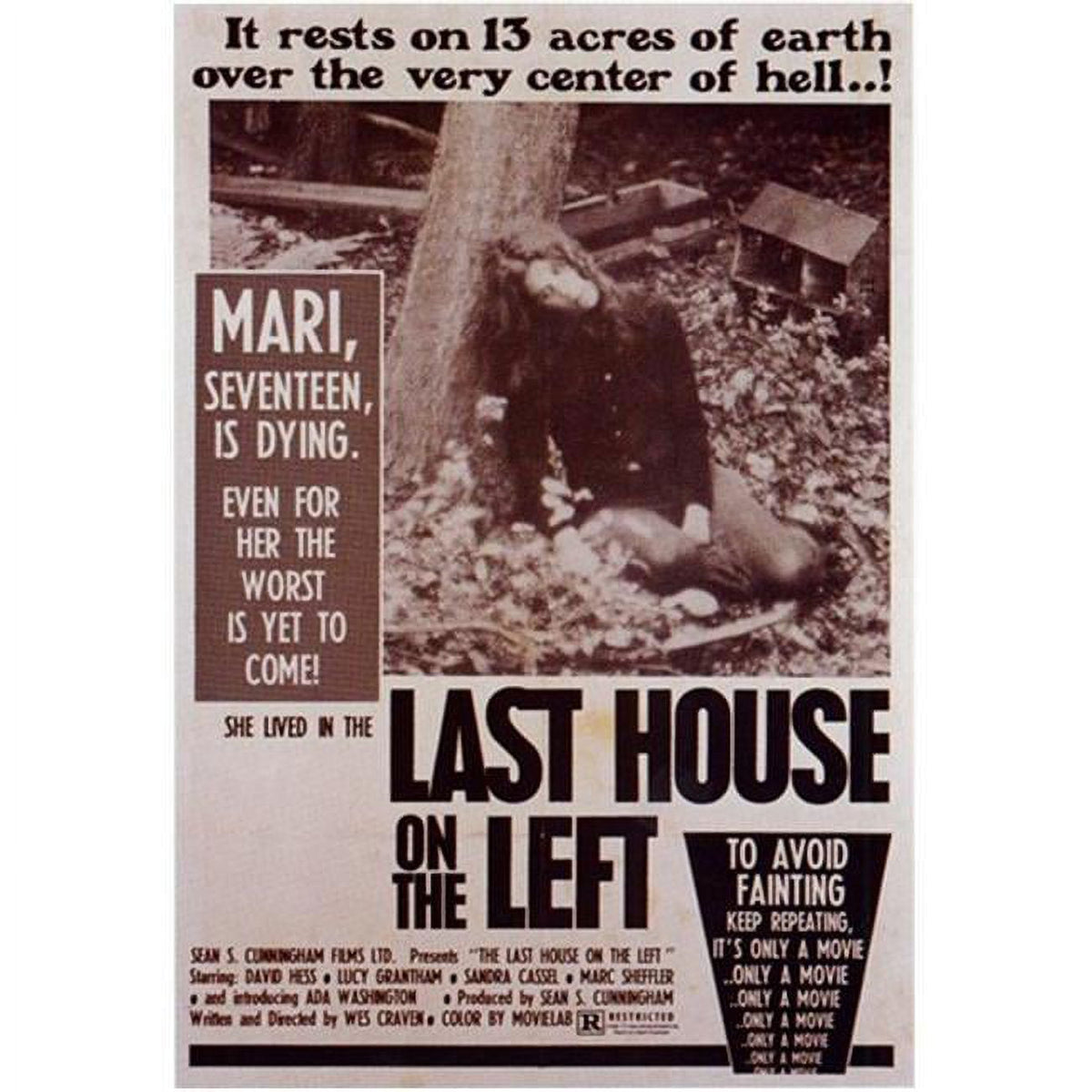 Last House on the Left Movie Poster 11x17 - Horror Film Art
