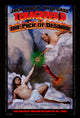 Tenacious D in The Pick of Destiny movie poster print 27x40