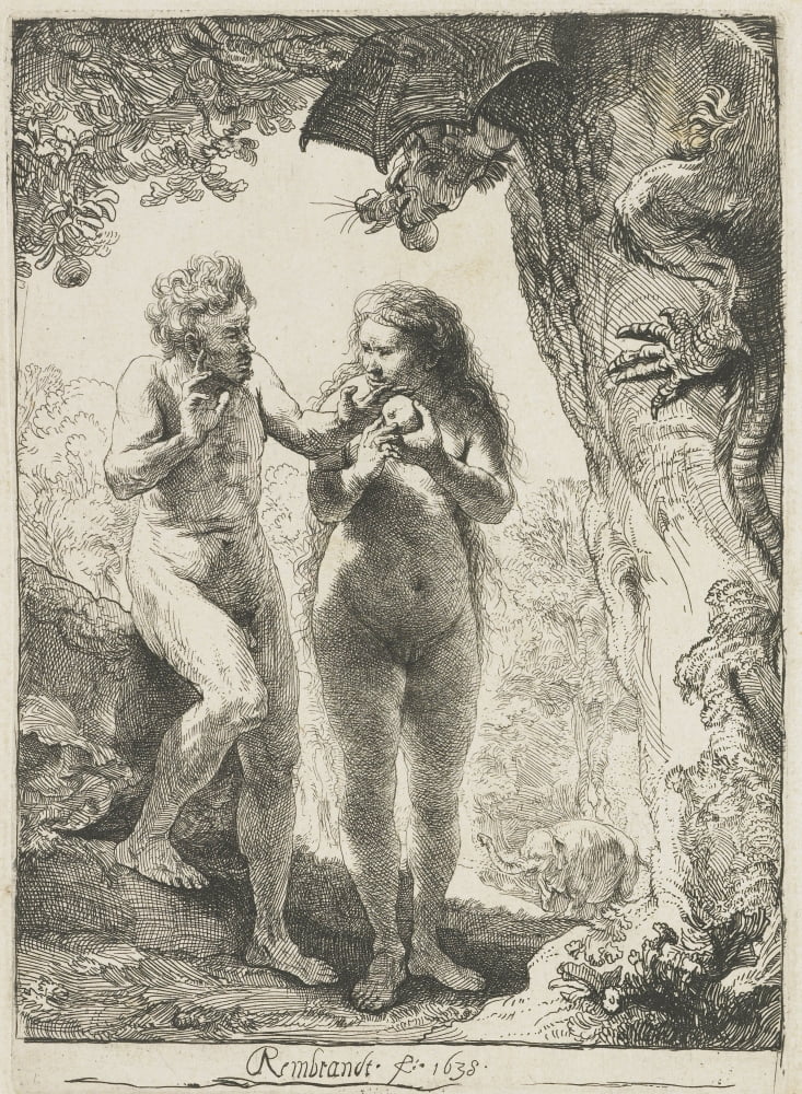 Adam and Eve Poster Print available in multiple sizes.
