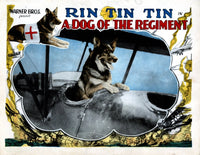 A Dog of the Regiment movie poster featuring Rin Tin from 1927