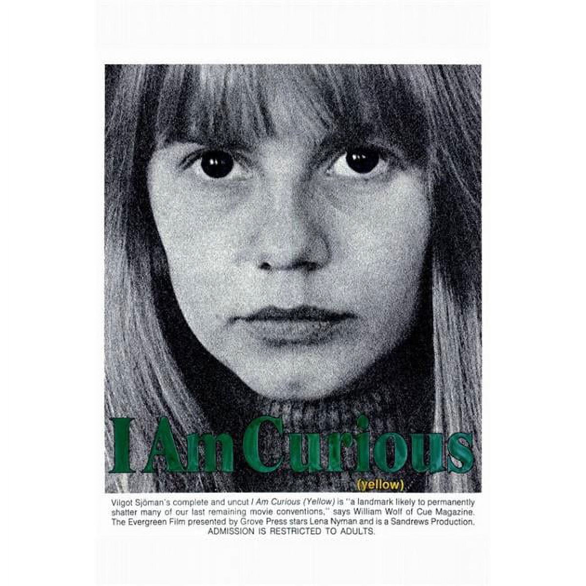 I Am Curious (Yellow) movie poster print 27x40