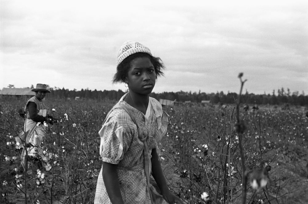 Cotton Picker Photograph - 1935 Migrant Workers by Ben Shahn