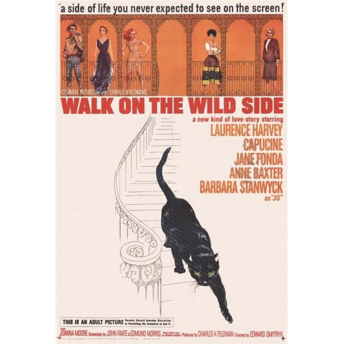 Walk on the Wild Side Movie Poster Print 27x40