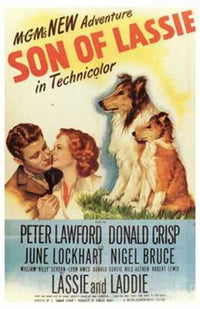 Son of Lassie Movie Poster 11x17 print featuring a classic canine adventure.