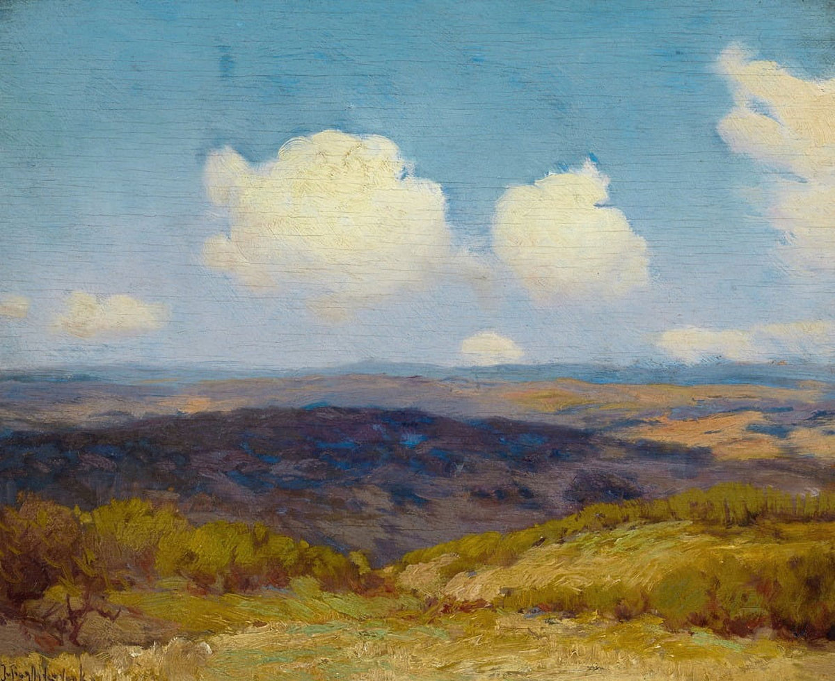 Flying Shadows Art Print by Julian Onderdonk showcasing serene nature.