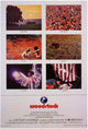 Woodstock Festival Movie Poster Print 27x40