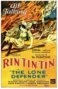 The Lone Defender movie poster print featuring Rin Tin Tin in Episode 2: The Fugitive