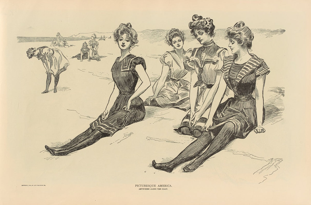 Picturesque America Coastal Scene Poster Print by Charles Dana Gibson