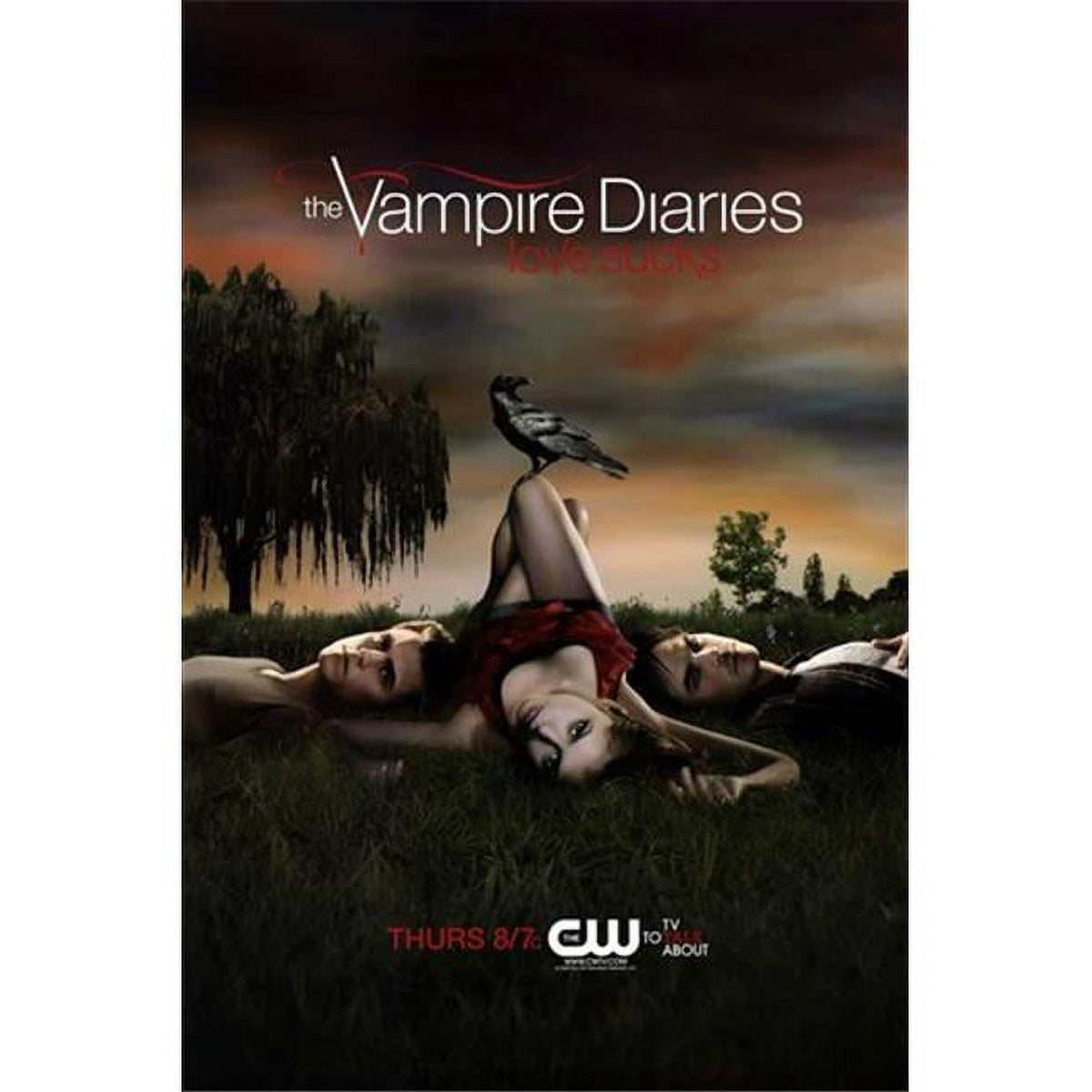 The Vampire Diaries Style C Movie Poster 11x17 depicting iconic characters
