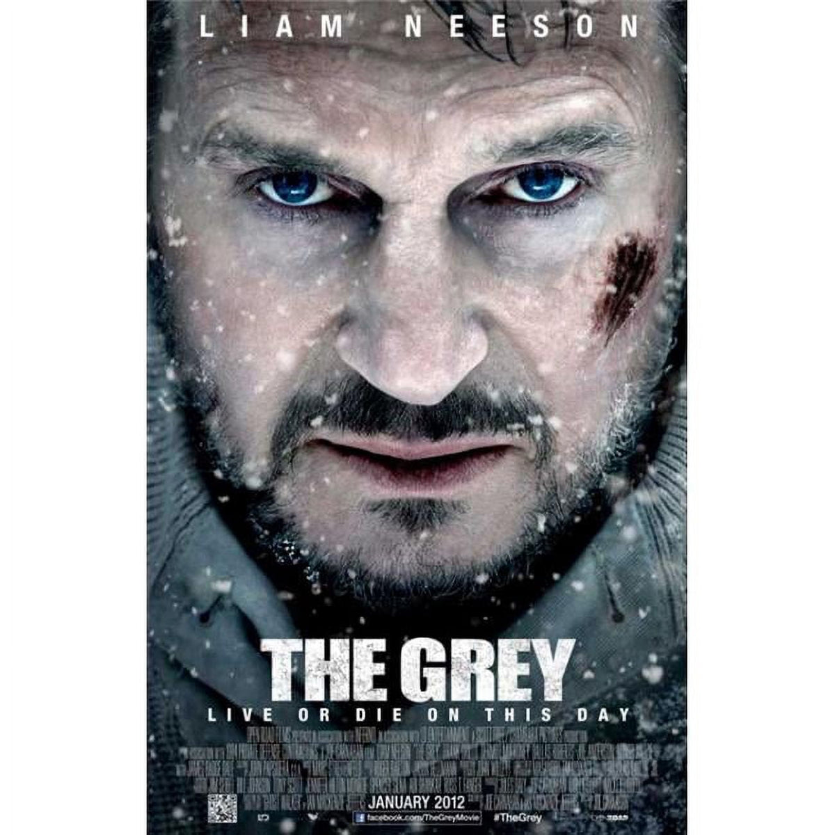 'The Grey' movie poster print showcasing intense survival imagery.