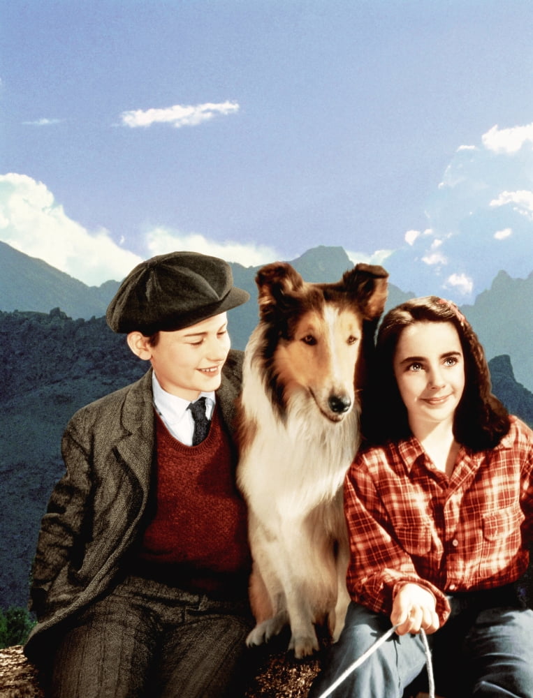 1943 Come Home photo poster print featuring Roddy McDowall and Lassie.