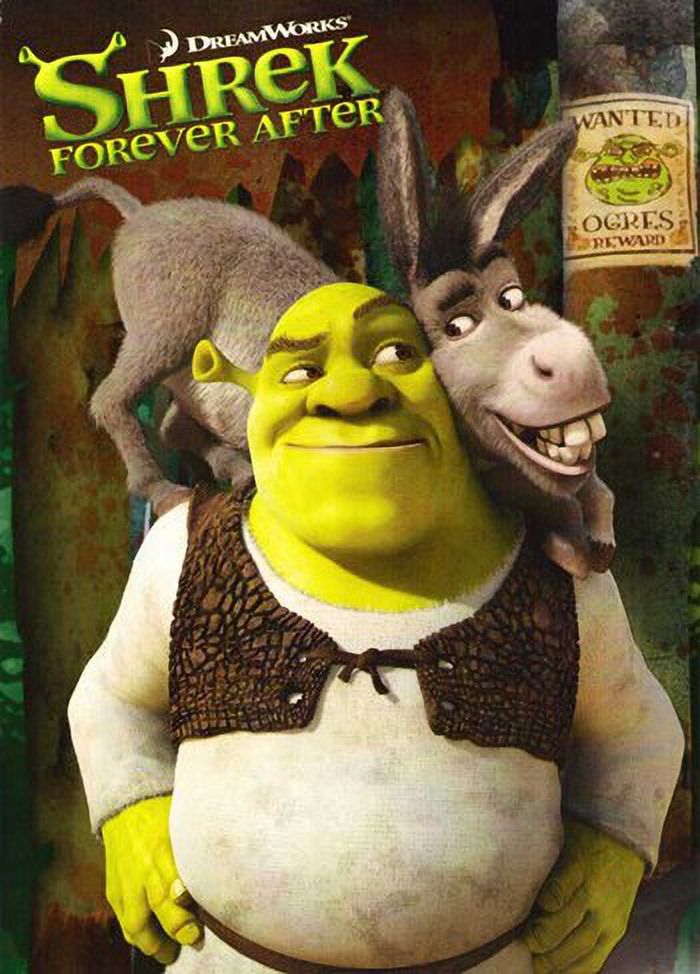Shrek Forever After Style B Movie Poster 11x17