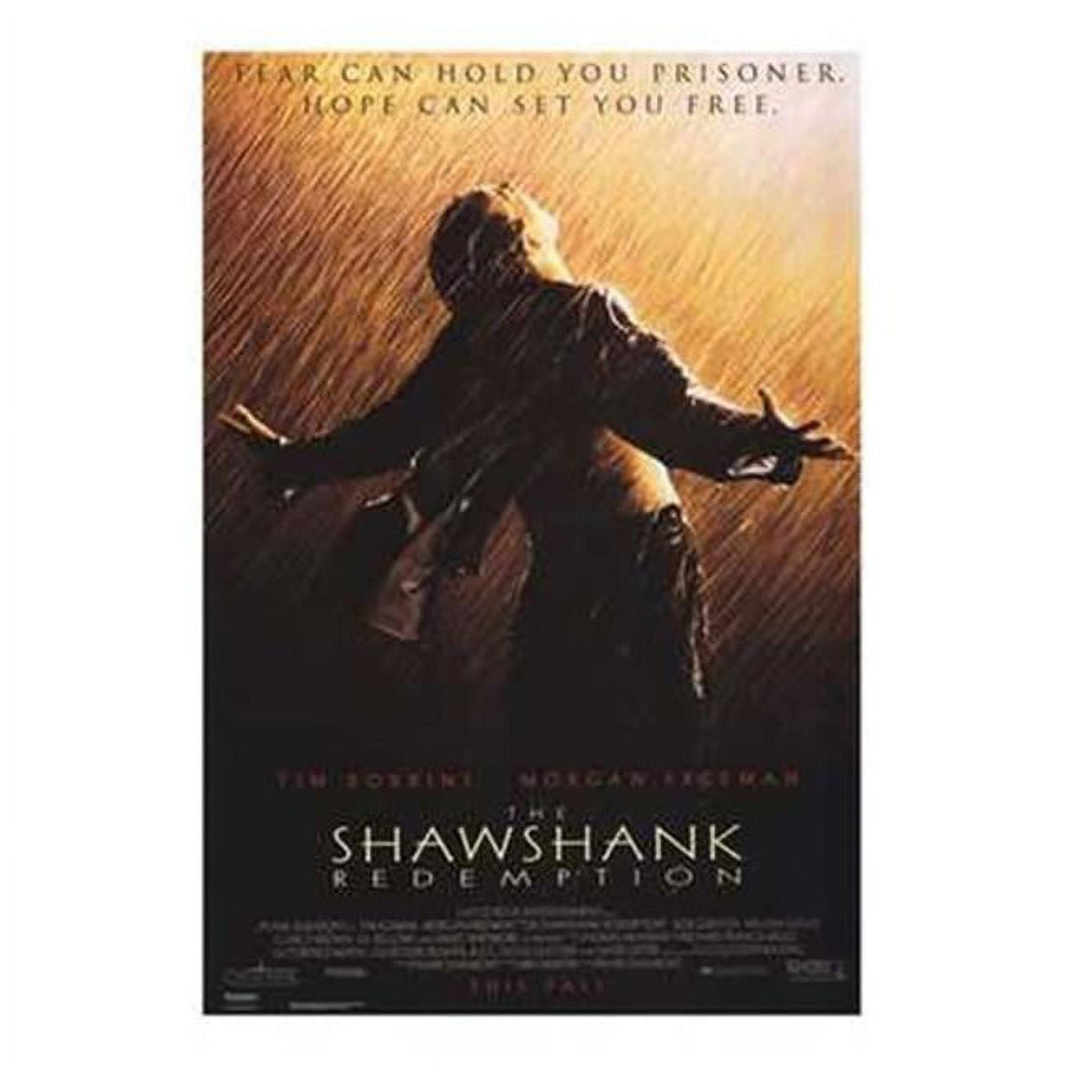 The Shawshank Redemption movie poster 11x17 size