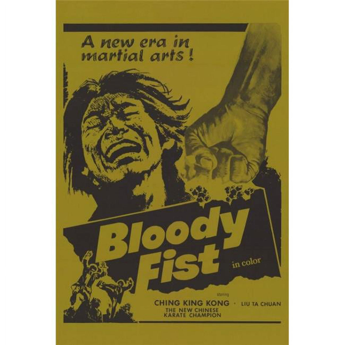 Bloody Fist Movie Poster 27x40 print