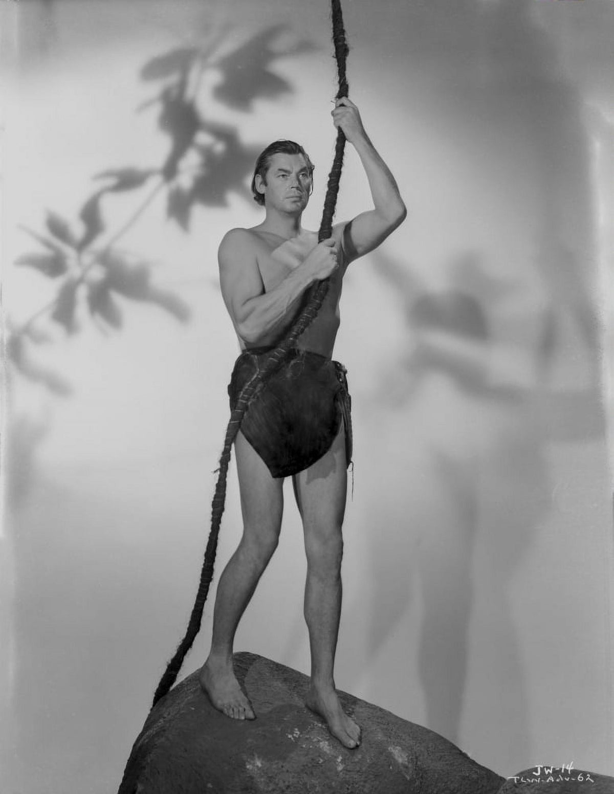 Johnny Weissmuller holding on a rope swing in a classic movie scene photo print.