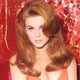 Ann Margret Red Portrait Photo Print showcasing classic Hollywood glamour.