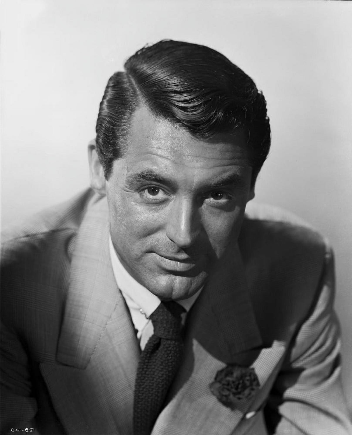 Cary Grant stylish photo print with iconic hair in suit.