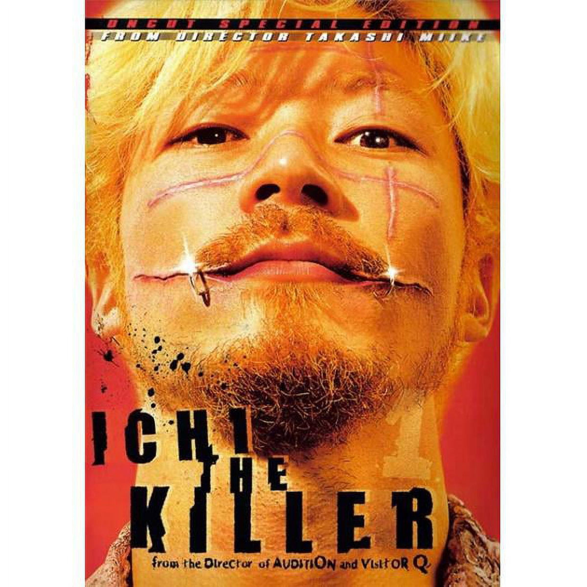 Ichi the Killer Movie Poster 11x17 - Cult Film Art Print