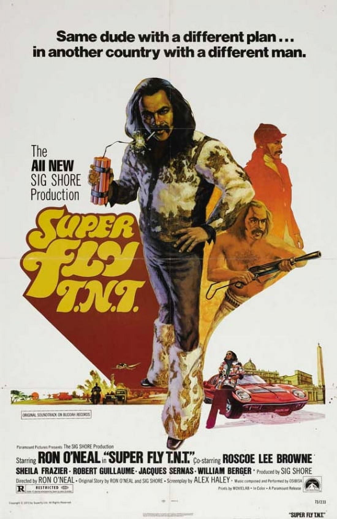 Super Fly T.N.T. Movie Poster 11x17 Print - Vintage Film Artwork