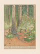 Bos met Versierde en Verlichte Kerstbomen poster print by Willem Wenckebach featuring decorated Christmas trees.