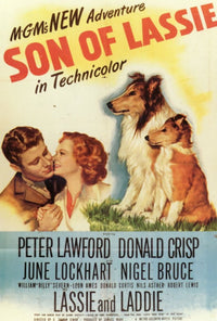 Son of Lassie Movie Poster Print in 27x40 size