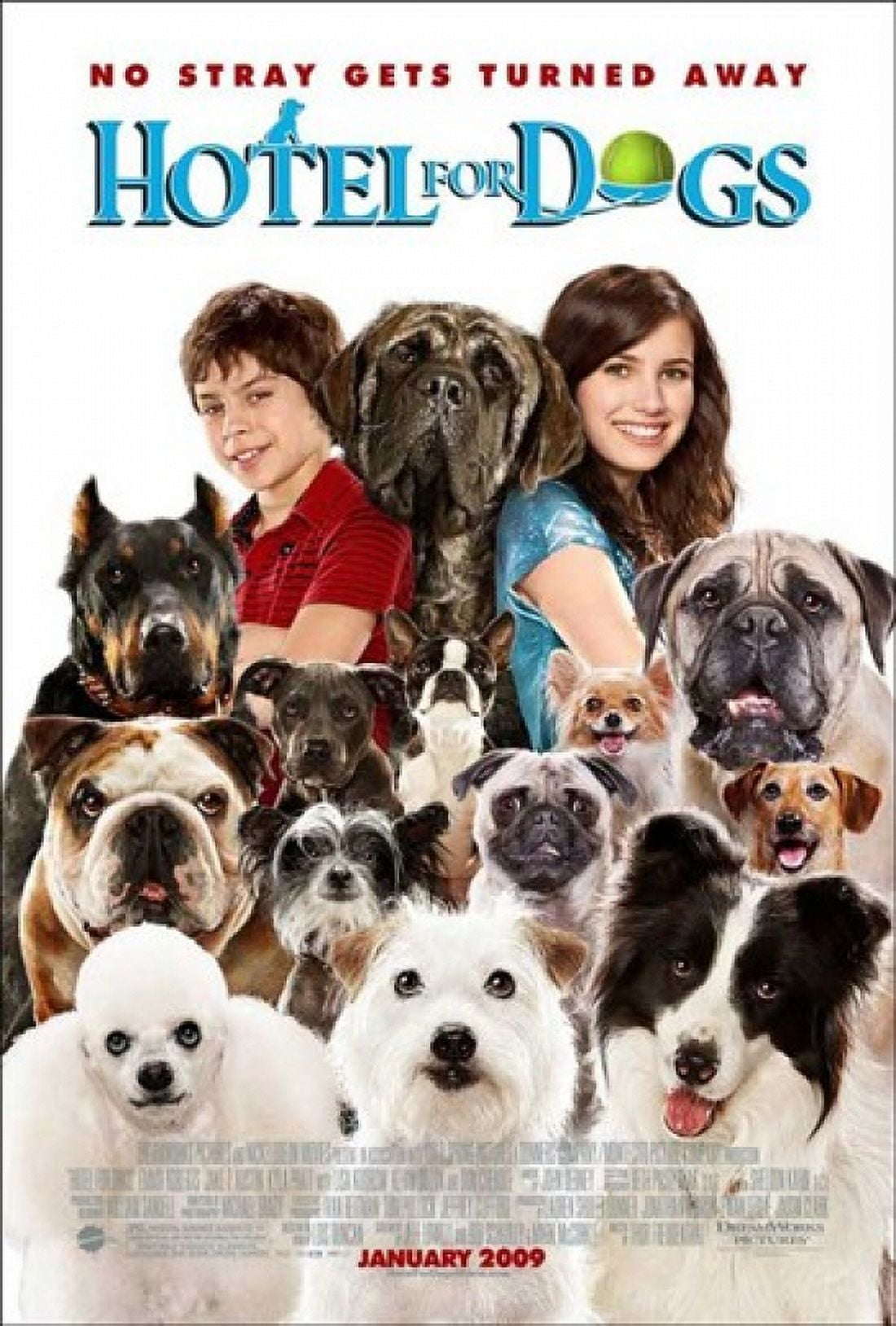 Hotel for Dogs Movie Poster Style C - 11x17 inches