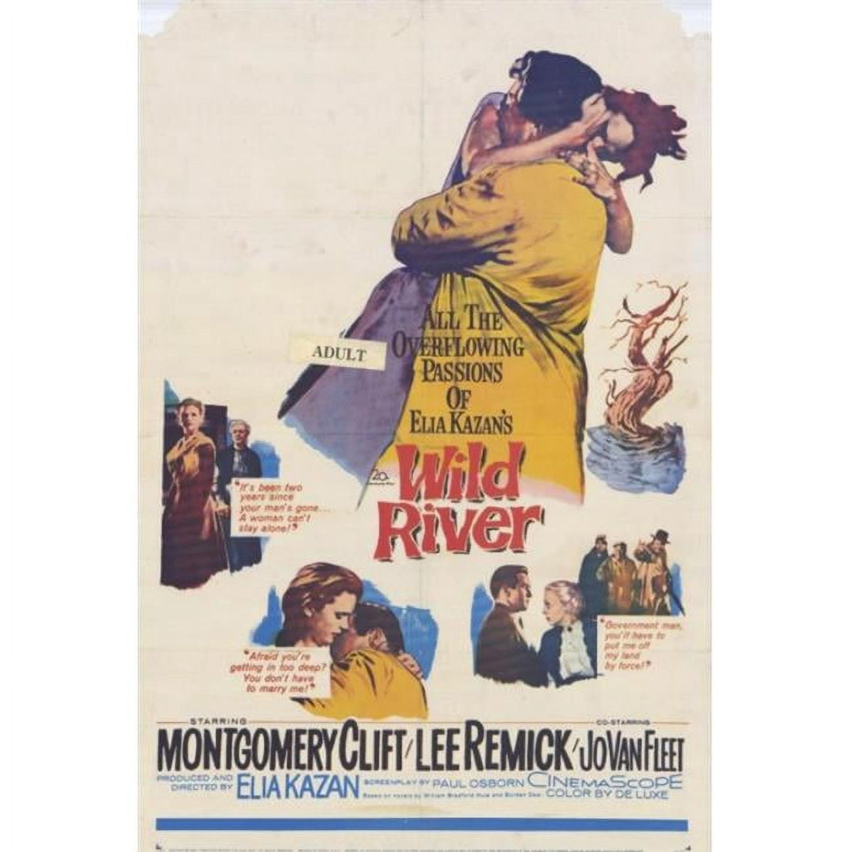 Wild River Movie Poster Print 27x40 - Captivating cinematic art