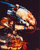 Robert Plant and Jimmy Page performing on stage - Led Zeppelin photo print