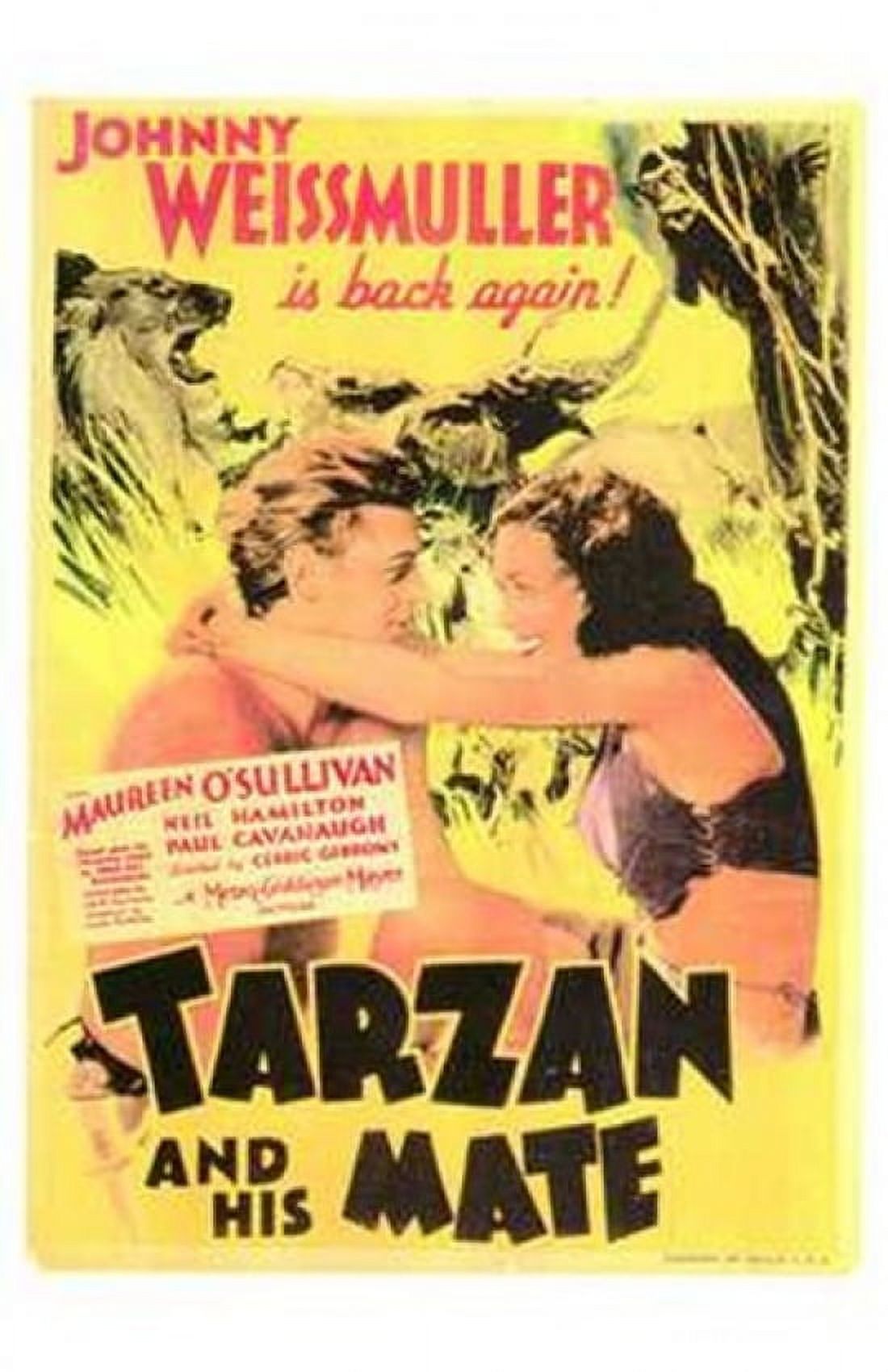 Tarzan and His Mate 1934 Style B movie poster 11x17