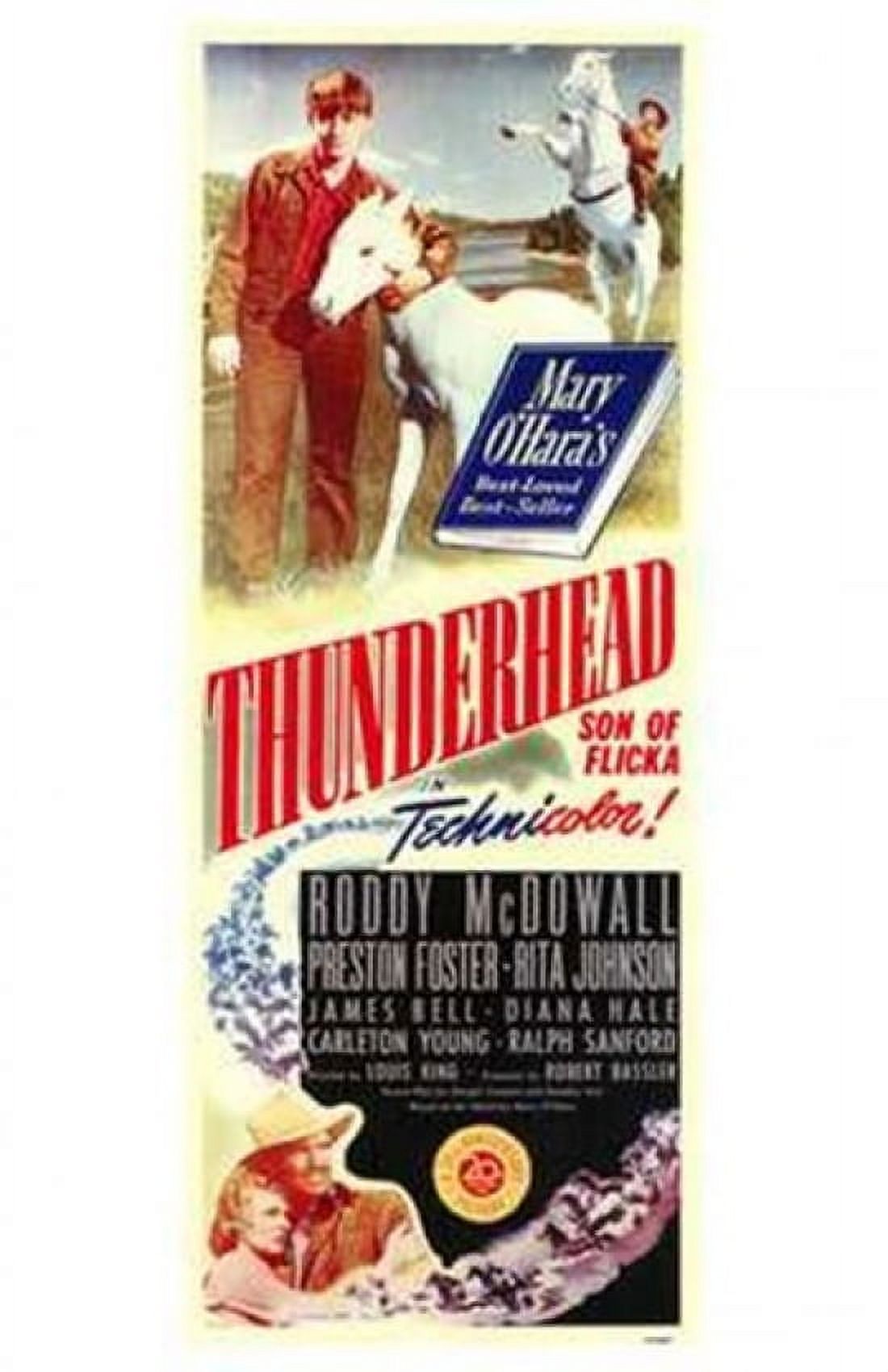 Thunderhead - Son of Flicka Movie Poster Print 11x17