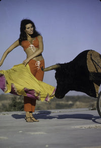 Raquel Welch bull fighting photo print featuring a vintage glamour aesthetic.