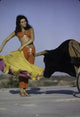 Raquel Welch bull fighting photo print featuring a vintage glamour aesthetic.