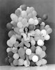 Eleanor Powell portrait photo print showcasing classic Hollywood elegance.