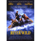 The River Wild Movie Poster Print 27x40 with dramatic imagery.