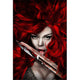 Red Sonja c.2009 Style B Movie Poster 11x17 print.