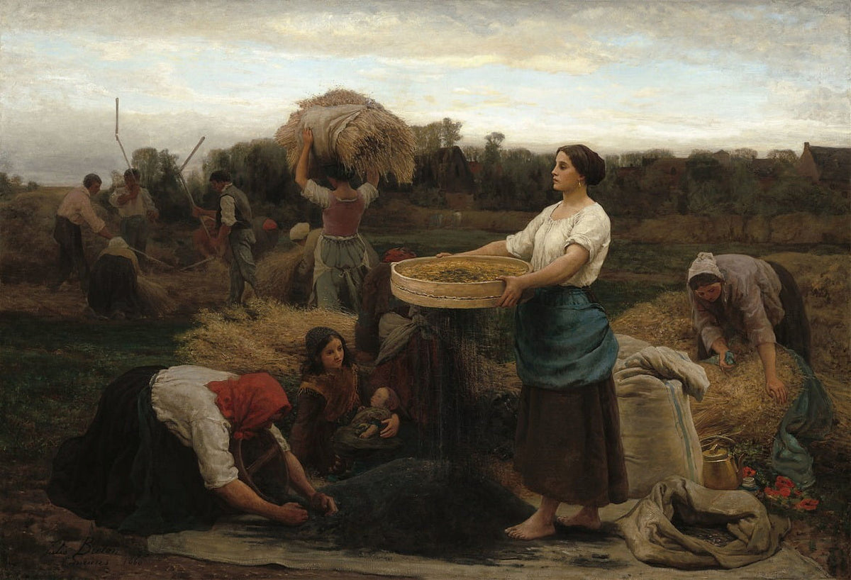 The Colza (Harvesting Rapeseed) art print by Jules Breton