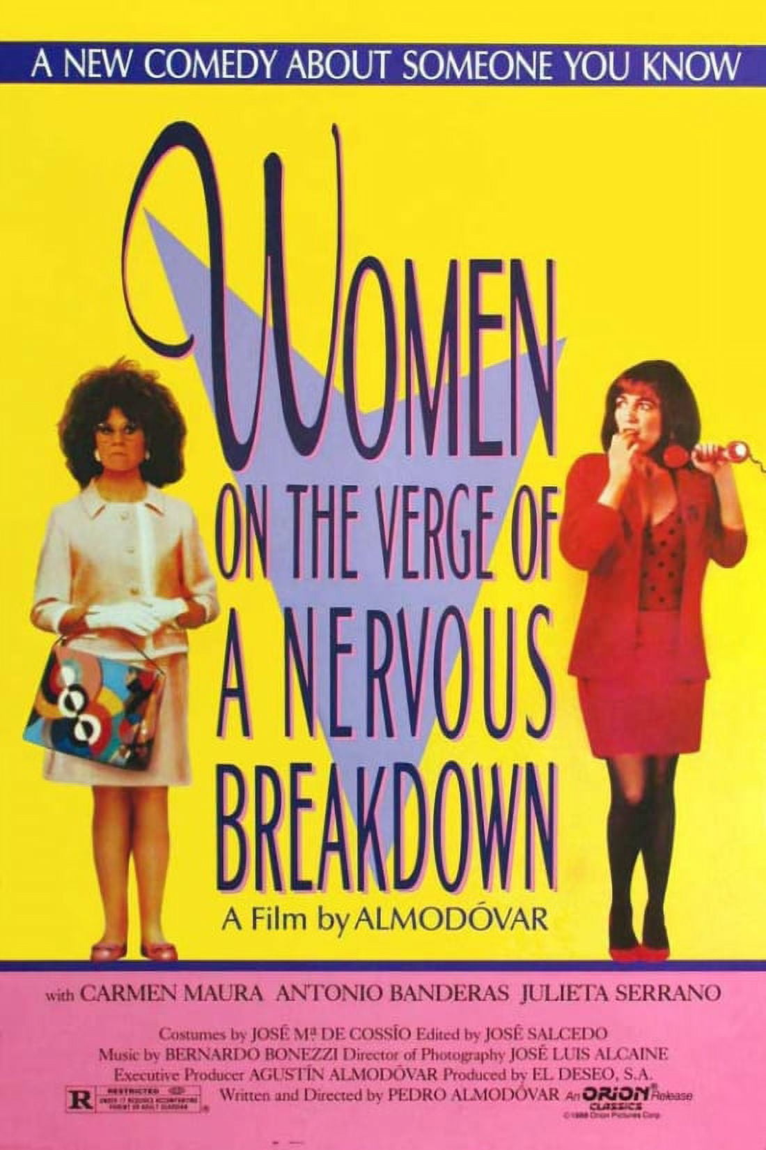 Women on the Verge of a Nervous Breakdown Movie Poster 11x17