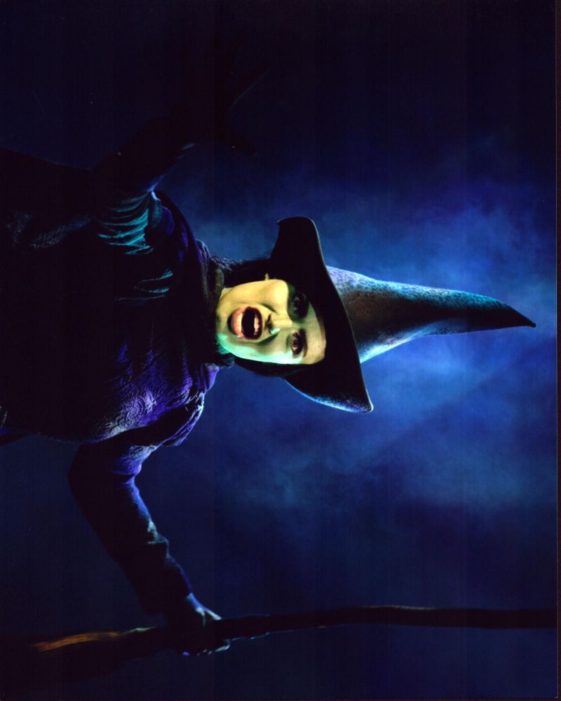 Idina Menzel performing on stage in Wicked photo print