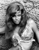Raquel Welch One Million Years B.C. photo print from the 1966 film.