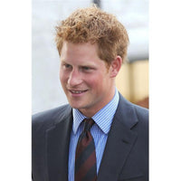 Prince Harry addressing British and American veterans organizations print