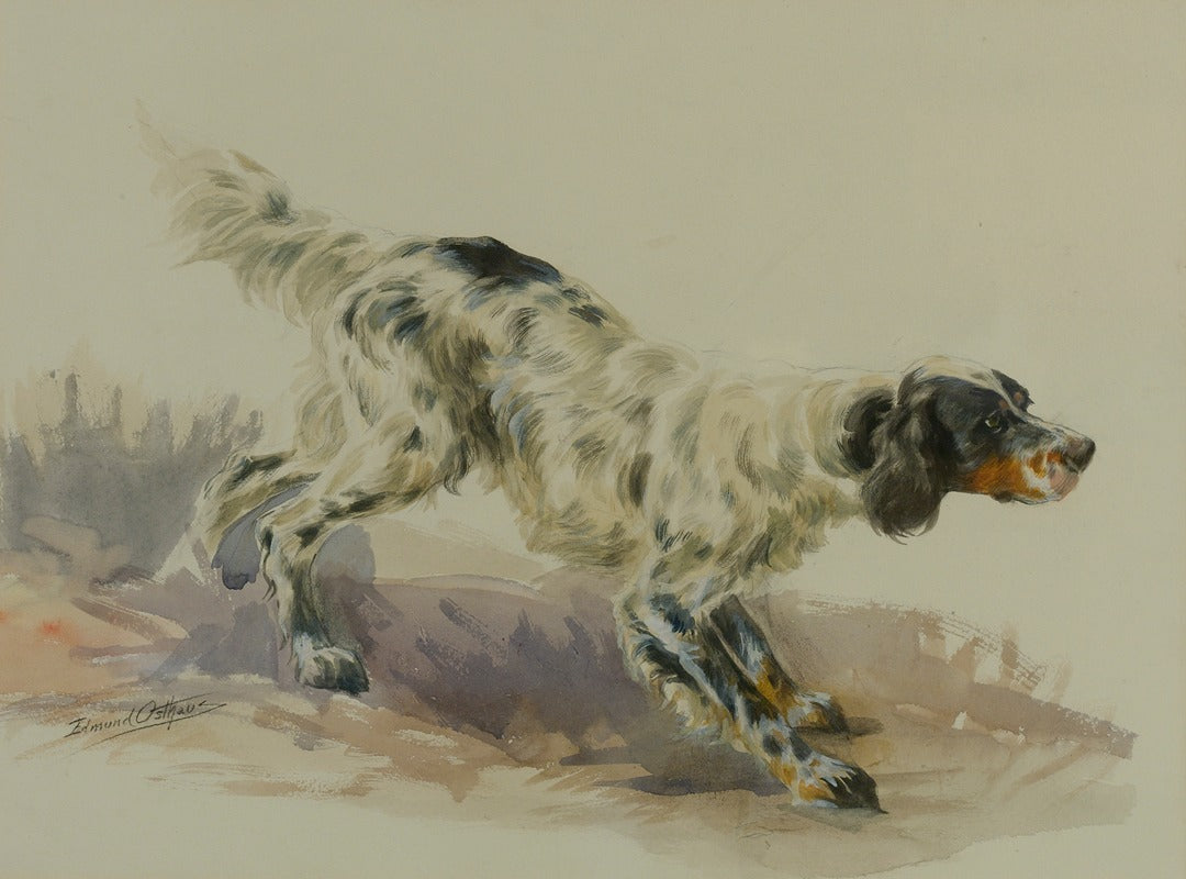 A Setter At Work Art Print by Edmund Henry Osthaus, depicting a hunting dog in action.