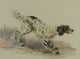 A Setter At Work Art Print by Edmund Henry Osthaus, depicting a hunting dog in action.